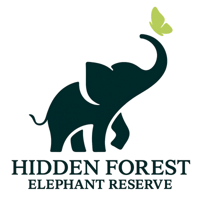 Hidden Forest Elephant Reserve